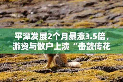 平潭发展2个月暴涨3.5倍，游资与散户上演“击鼓传花”游戏