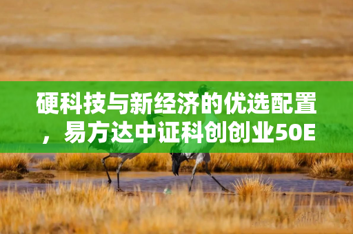 硬科技与新经济的优选配置,易方达中证科创创业50ETF深度指南 硬科技与新经济的优选配置,易方达中证科创创业50ETF深度指南
