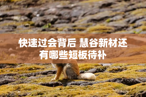 快速过会背后 慧谷新材还有哪些短板待补 快速过会背后 慧谷新材还有哪些短板待补