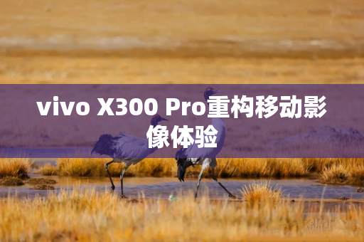 vivo X300 Pro重构移动影像体验
