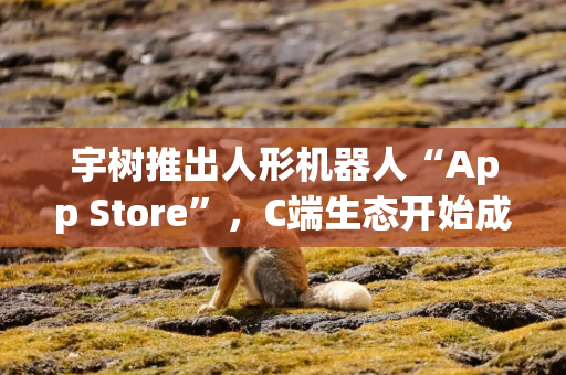 宇树推出人形机器人“App Store”，C端生态开始成形