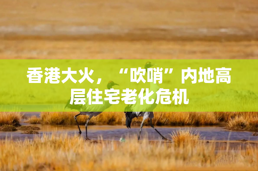 香港大火,“吹哨”内地高层住宅老化危机 香港大火,“吹哨”内地高层住宅老化危机