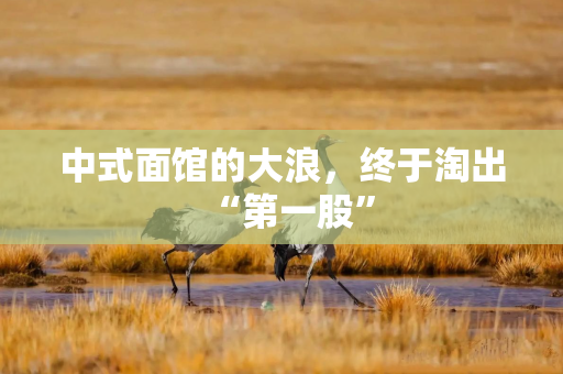 中式面馆的大浪，终于淘出“第一股”