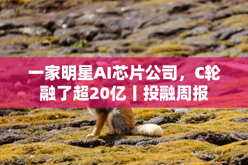 一家明星AI芯片公司，C轮融了超20亿丨投融周报