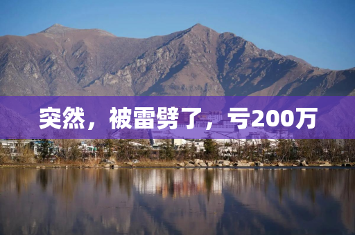突然，被雷劈了，亏200万
