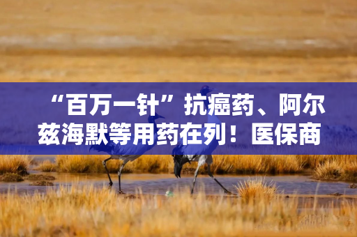 “百万一针”抗癌药、阿尔兹海默等用药在列！医保商保“双目录”重磅出炉
