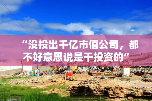 “没投出千亿市值公司，都不好意思说是干投资的”