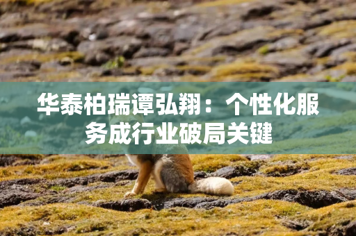 华泰柏瑞谭弘翔：个性化服务成行业破局关键