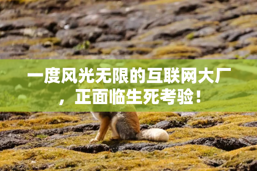 一度风光无限的互联网大厂，正面临生死考验！