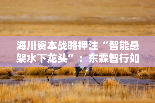 海川资本战略押注“智能悬架水下龙头”:东霖智行如何走出“重构替代”之路 海川资本战略押注“智能悬架水下龙头”:东霖智行如何走出“重构替代”之路