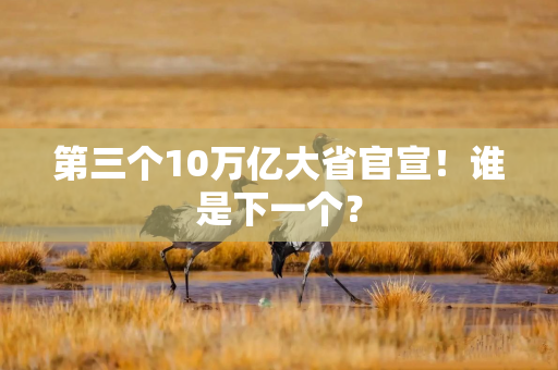 第三个10万亿大省官宣！谁是下一个？