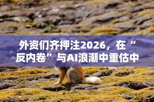 外资们齐押注2026，在“反内卷”与AI浪潮中重估中国与全球股市