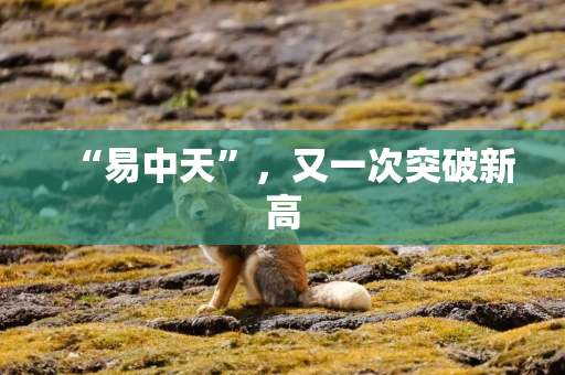 “易中天”，又一次突破新高