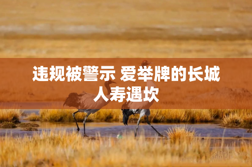 违规被警示 爱举牌的长城人寿遇坎