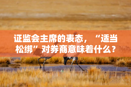 证监会主席的表态，“适当松绑”对券商意味着什么？