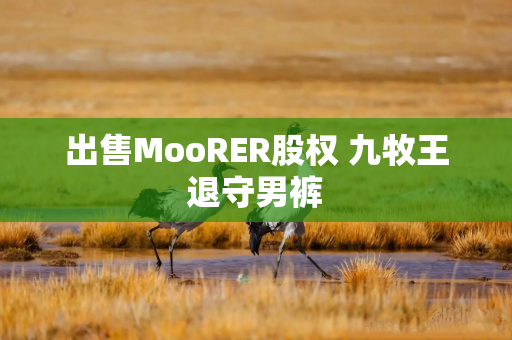 出售MooRER股权 九牧王退守男裤