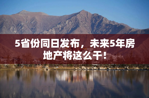 5省份同日发布，未来5年房地产将这么干！