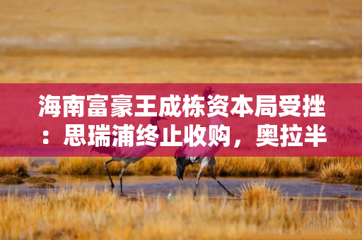 海南富豪王成栋资本局受挫：思瑞浦终止收购，奥拉半导体三度冲刺A股失败