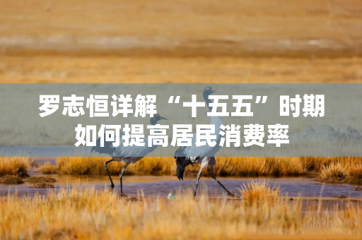 罗志恒详解“十五五”时期如何提高居民消费率