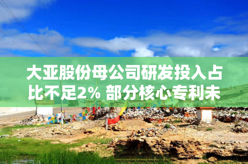 大亚股份母公司研发投入占比不足2% 部分核心专利未缴年费失效