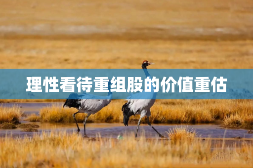 理性看待重组股的价值重估