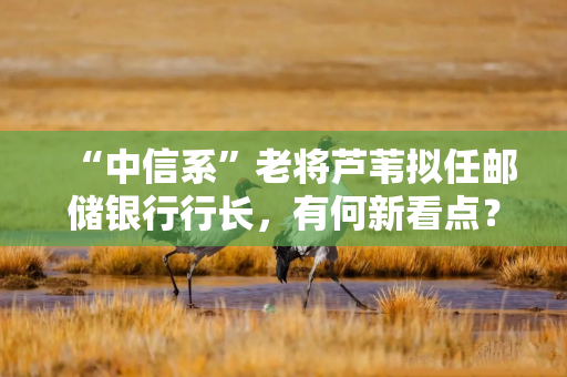 “中信系”老将芦苇拟任邮储银行行长，有何新看点？