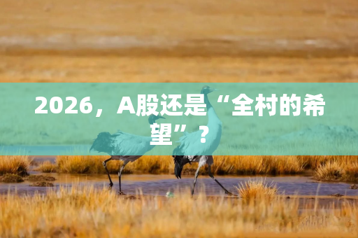 2026，A股还是“全村的希望”？