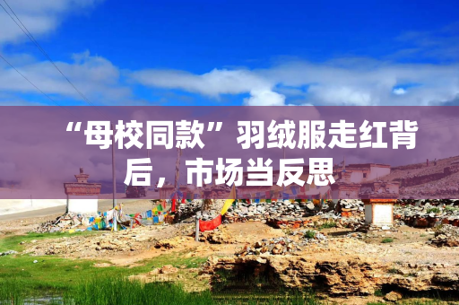 “母校同款”羽绒服走红背后，市场当反思