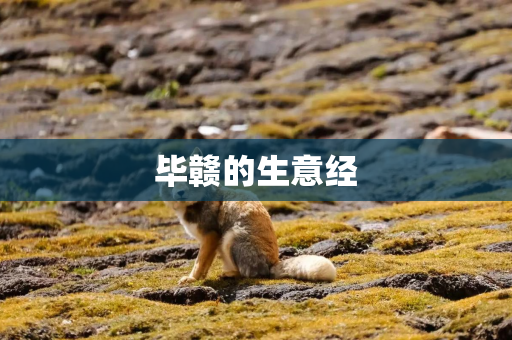 毕赣的生意经 毕赣的生意经