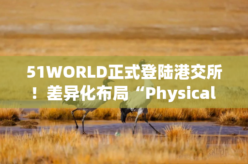 51WORLD正式登陆港交所!差异化布局“Physical AI ”,出海开辟“第二战场” 51WORLD正式登陆港交所!差异化布局“Physical AI ”,出海开辟“第二战场”
