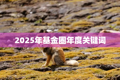 2025年基金圈年度关键词