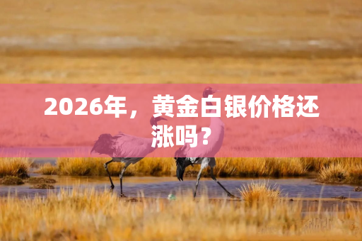 2026年,黄金白银价格还涨吗? 2026年,黄金白银价格还涨吗?