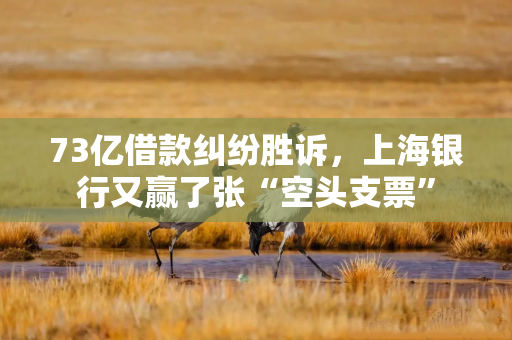 73亿借款纠纷胜诉,上海银行又赢了张“空头支票” 73亿借款纠纷胜诉,上海银行又赢了张“空头支票”