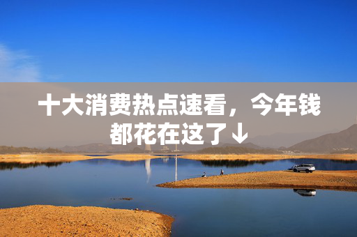十大消费热点速看，今年钱都花在这了↓