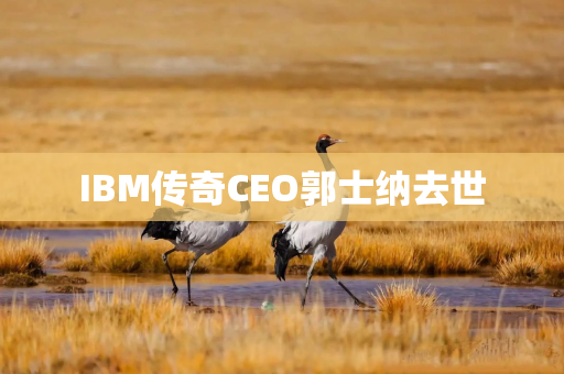 IBM传奇CEO郭士纳去世