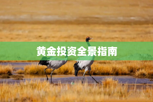 黄金投资全景指南