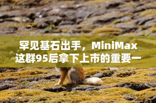 罕见基石出手，MiniMax这群95后拿下上市的重要一票