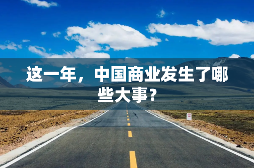 这一年，中国商业发生了哪些大事？