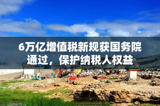6万亿增值税新规获国务院通过，保护纳税人权益