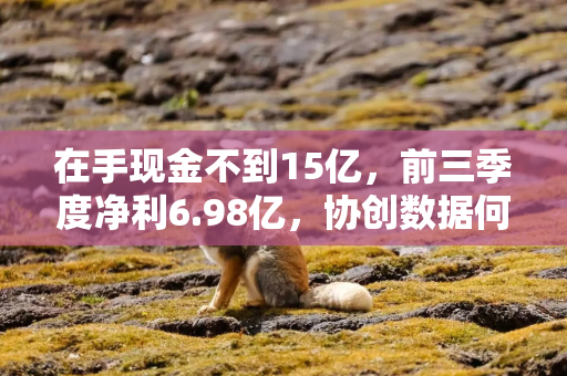 在手现金不到15亿，前三季度净利6.98亿，协创数据何以支撑212亿算力采购？