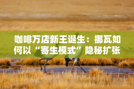 咖啡万店新王诞生：挪瓦如何以“寄生模式”隐秘扩张？