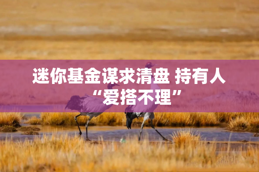 迷你基金谋求清盘 持有人“爱搭不理”