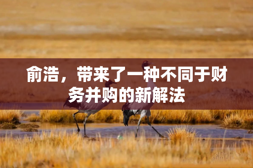 俞浩，带来了一种不同于财务并购的新解法