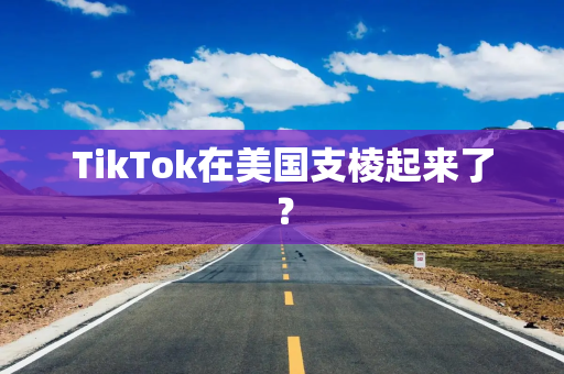 TikTok在美国支棱起来了？