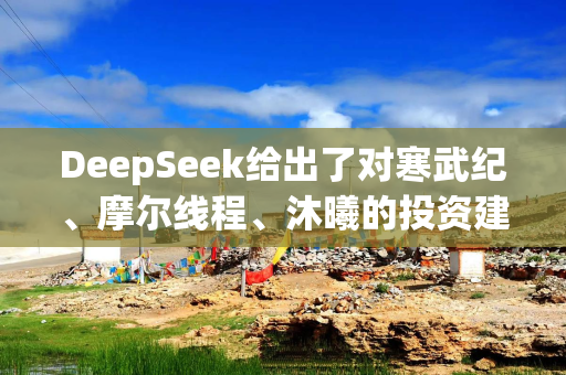 DeepSeek给出了对寒武纪、摩尔线程、沐曦的投资建议