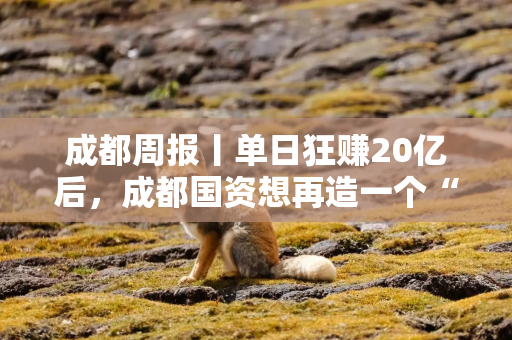 成都周报丨单日狂赚20亿后，成都国资想再造一个“沐曦”