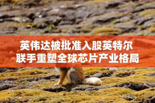 英伟达被批准入股英特尔 联手重塑全球芯片产业格局 英伟达被批准入股英特尔 联手重塑全球芯片产业格局