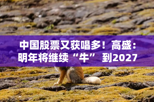 中国股票又获唱多！高盛：明年将继续“牛” 到2027年底有望再涨38%