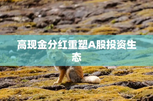 高现金分红重塑A股投资生态