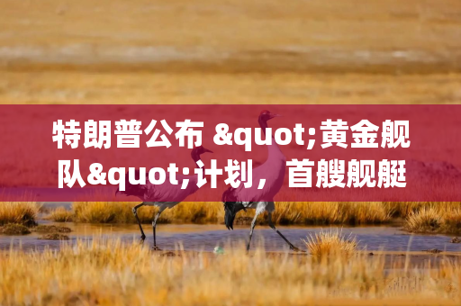 特朗普公布 "黄金舰队"计划，首艘舰艇预计在2028年完工